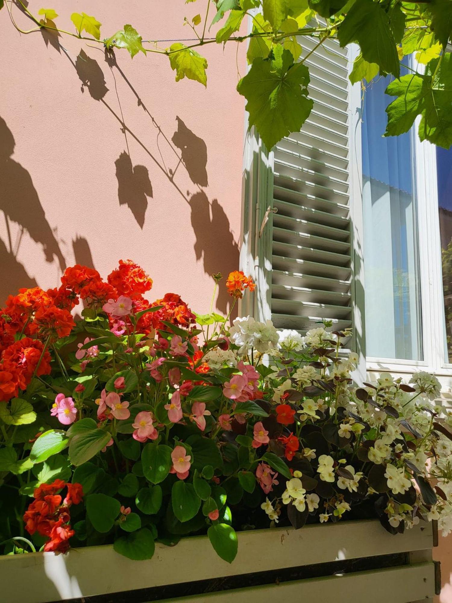 Il Buen Retiro Hotel Lucca Luaran gambar