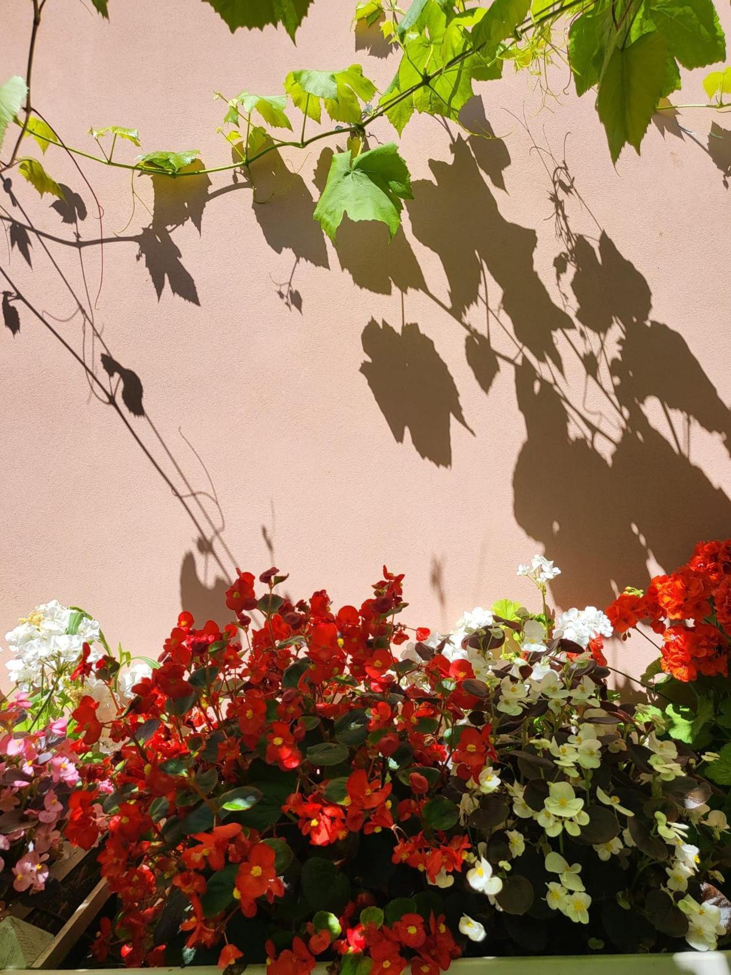 Il Buen Retiro Hotel Lucca Luaran gambar