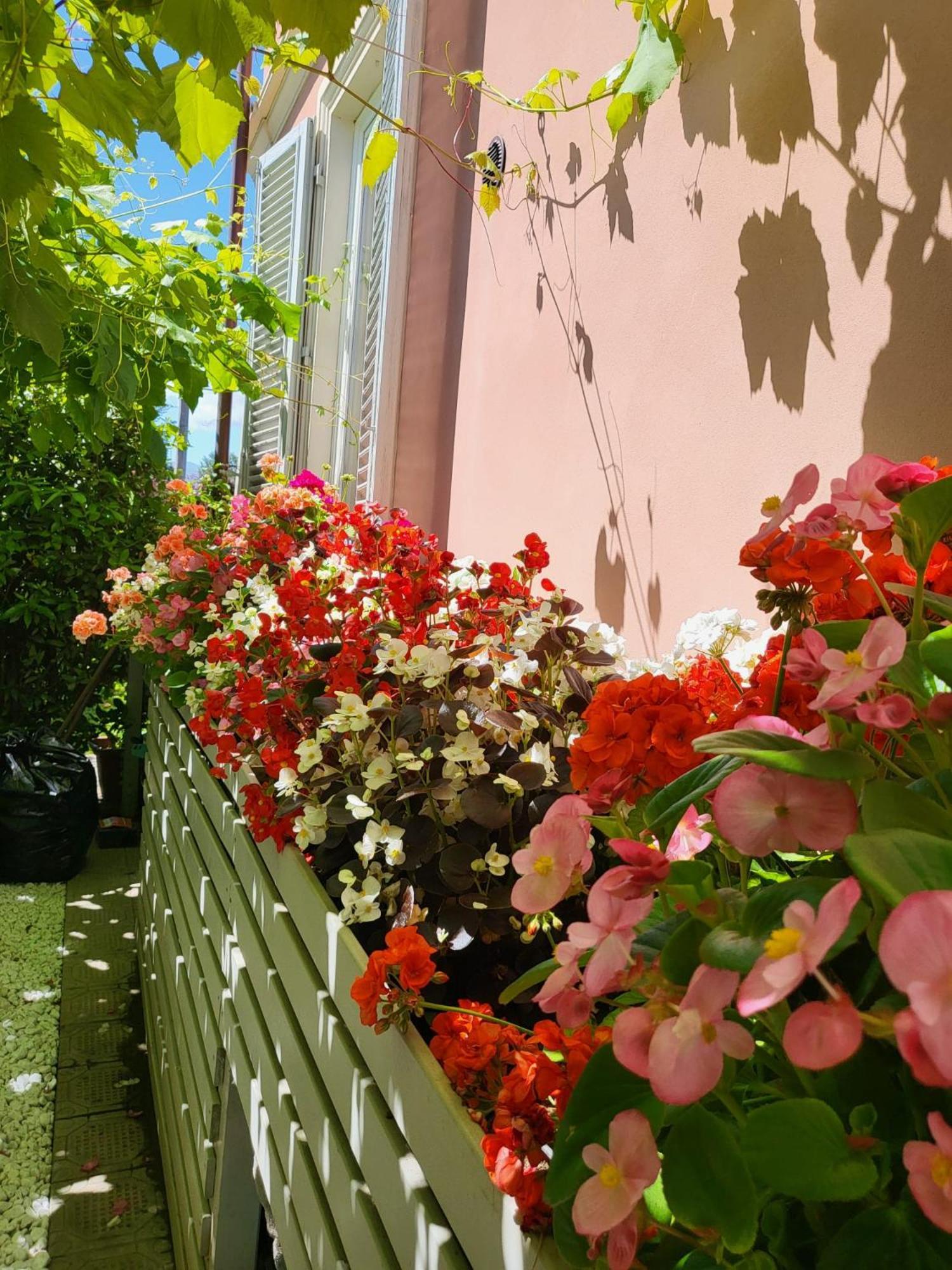 Il Buen Retiro Hotel Lucca Luaran gambar
