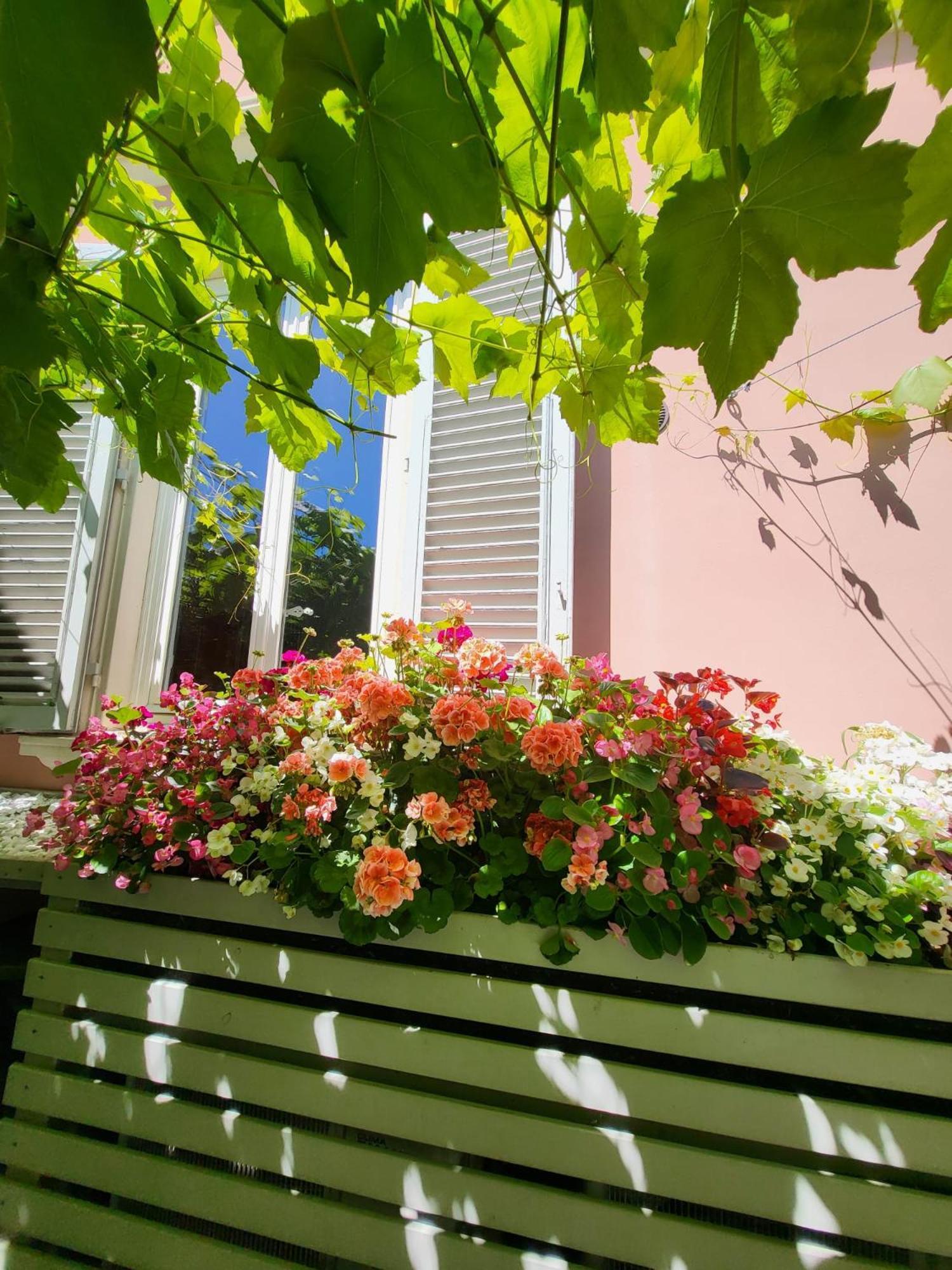 Il Buen Retiro Hotel Lucca Luaran gambar
