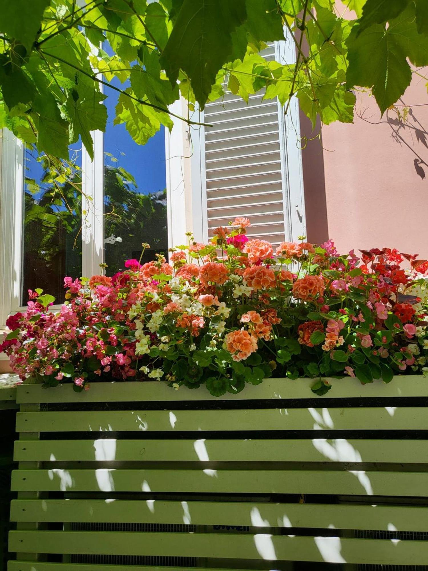 Il Buen Retiro Hotel Lucca Luaran gambar
