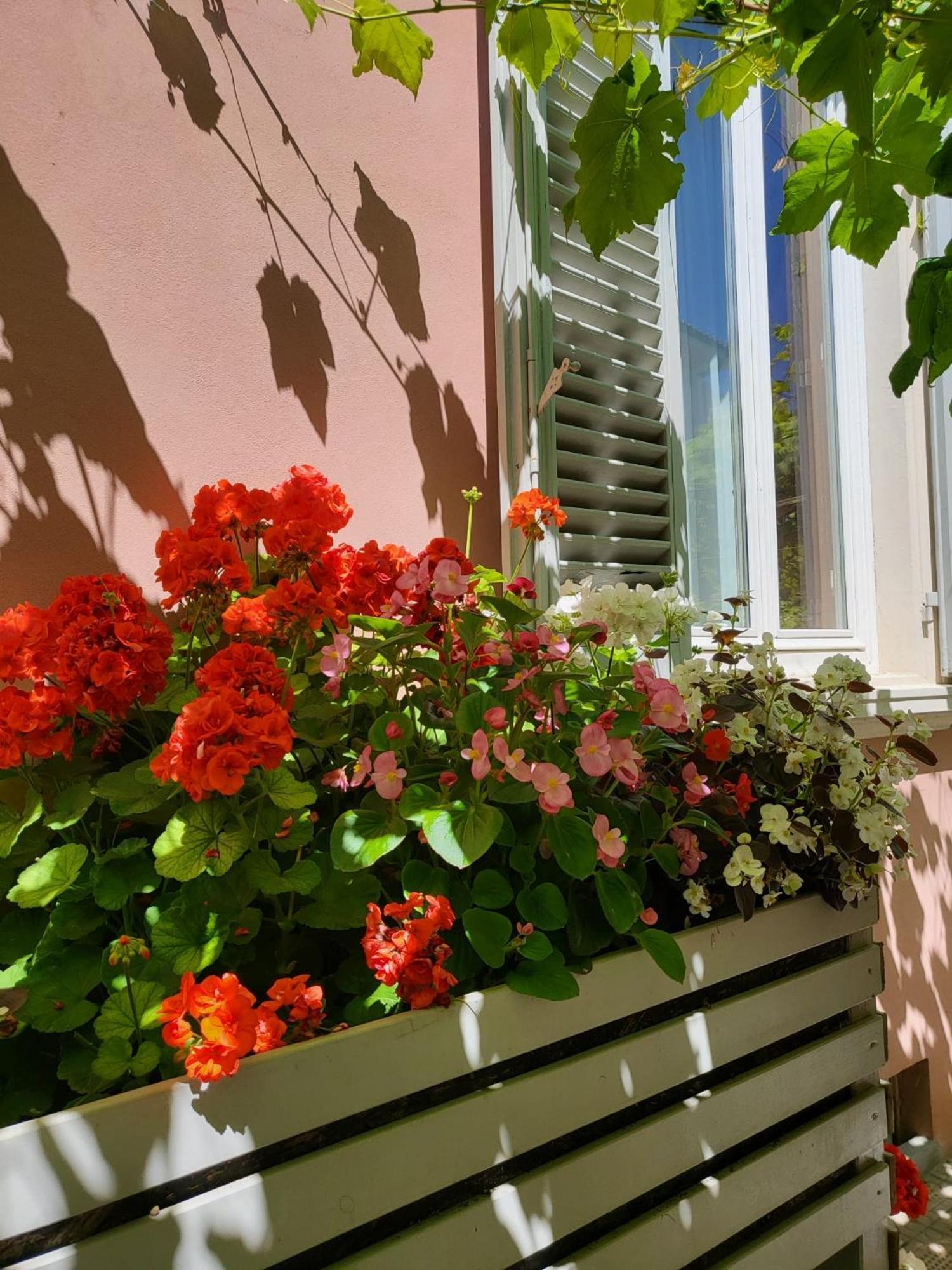 Il Buen Retiro Hotel Lucca Luaran gambar