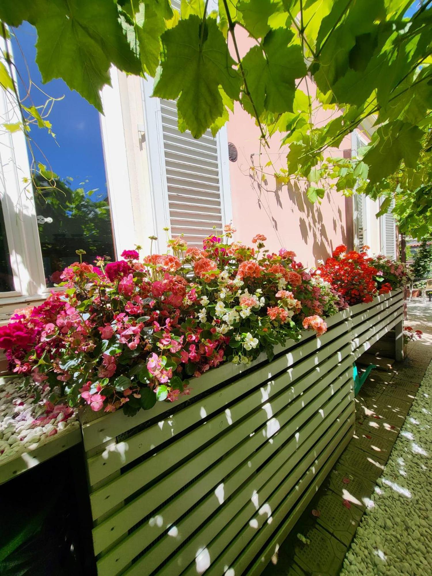 Il Buen Retiro Hotel Lucca Luaran gambar