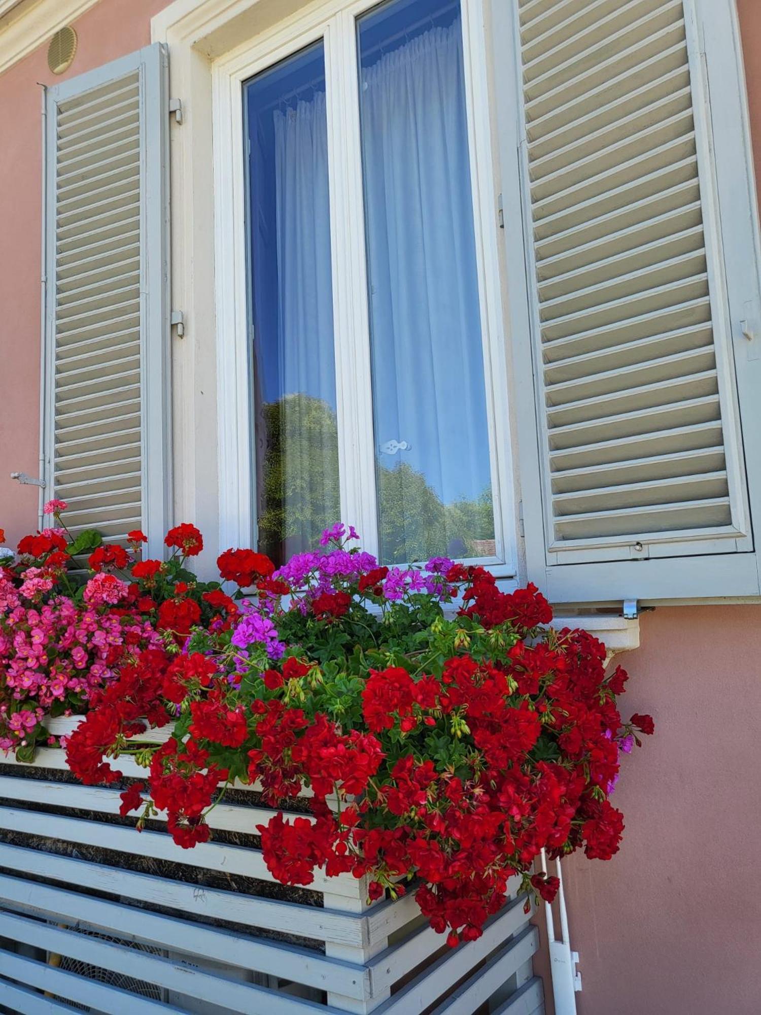 Il Buen Retiro Hotel Lucca Luaran gambar