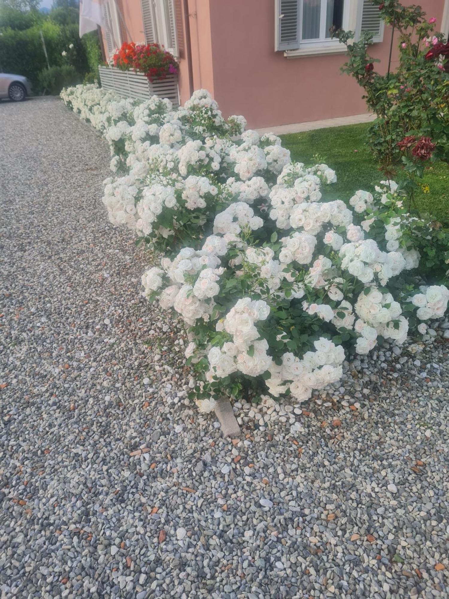 Il Buen Retiro Hotel Lucca Luaran gambar